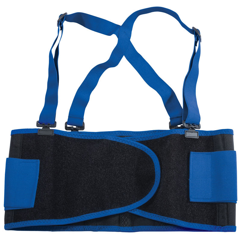 Draper Large Size Back Support and Braces
