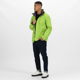 #colour_keylime-seal-grey