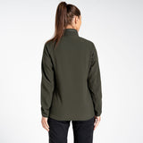 #colour_dark-seal-green
