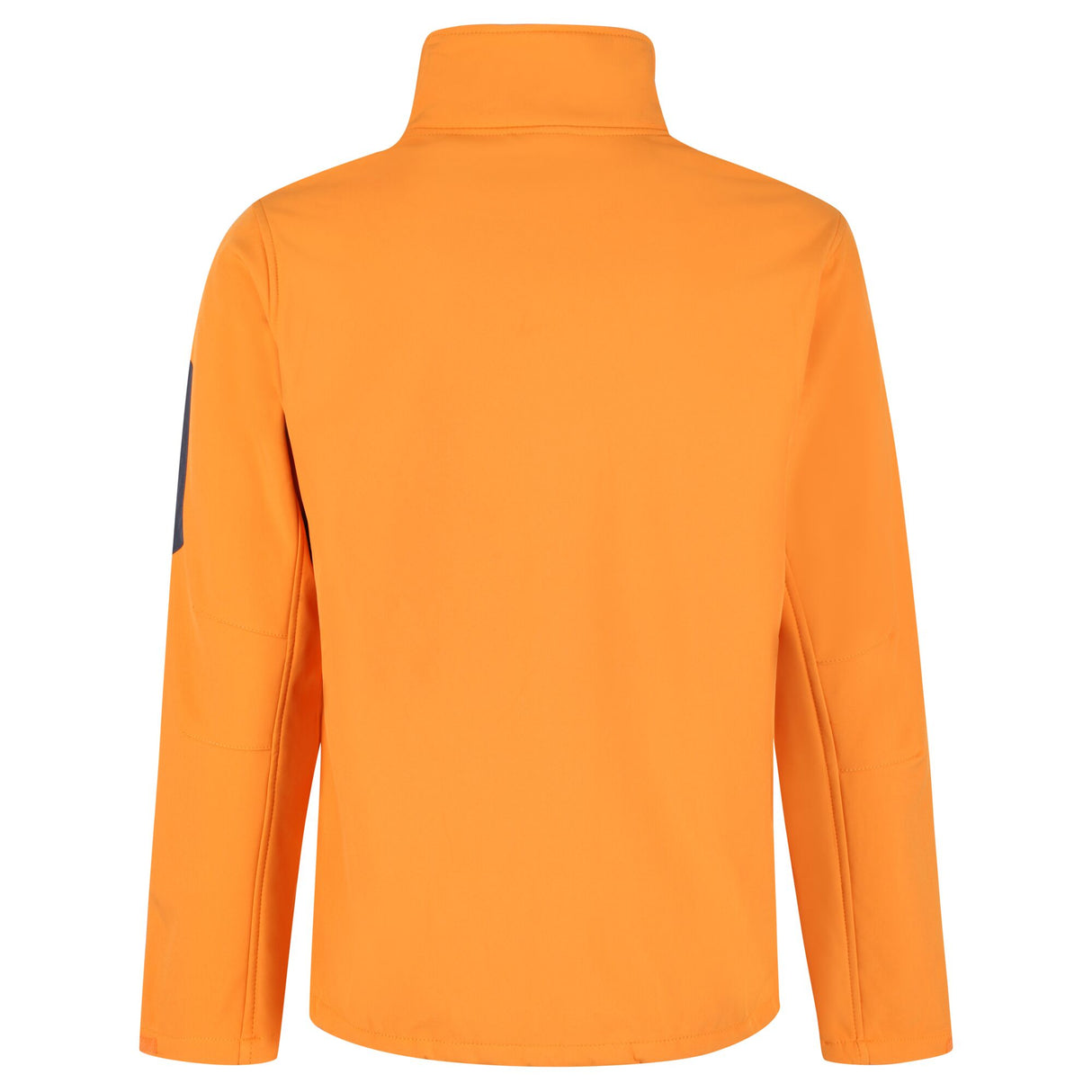 #colour_sun-orange-seal-grey