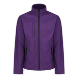 #colour_major-purple-black