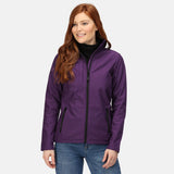 #colour_major-purple-black