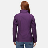 #colour_major-purple-black