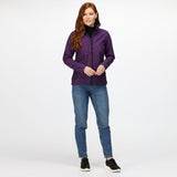 #colour_major-purple-black