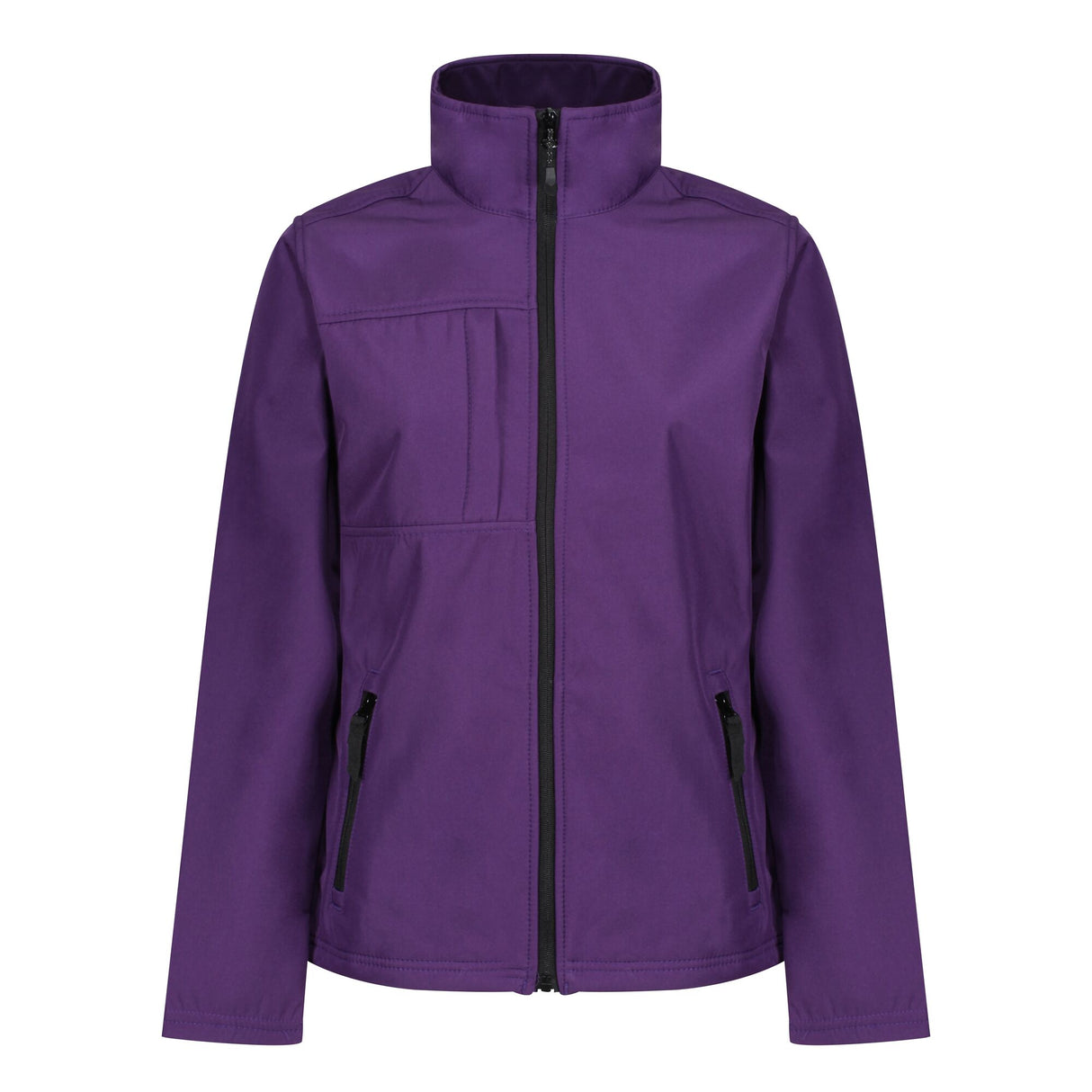 #colour_major-purple-black