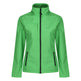 #colour_extreme-green-black