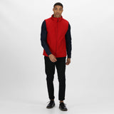 #colour_classic-red-seal-grey