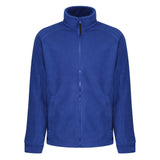 #colour_new-royal