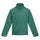#colour_bottle-green