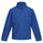 #colour_royal-blue