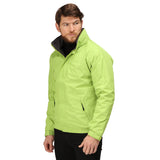 #colour_keylime-seal-grey