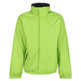 #colour_keylime-seal-grey