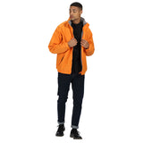 #colour_sun-orange-seal-grey