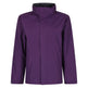 #colour_purple-grey