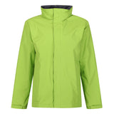 #colour_keylime-seal-grey