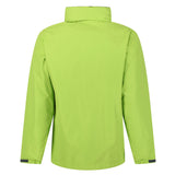 #colour_keylime-seal-grey