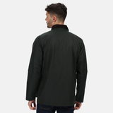 #colour_dark-green
